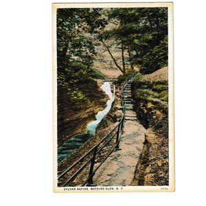 1915-1930 Vintage White Border Post Card Sylvan Rapids Watkins Glen, NY
